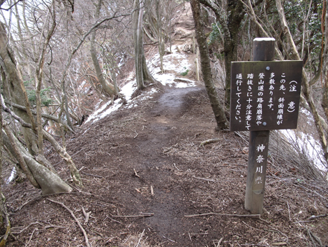 20170113hike (121)